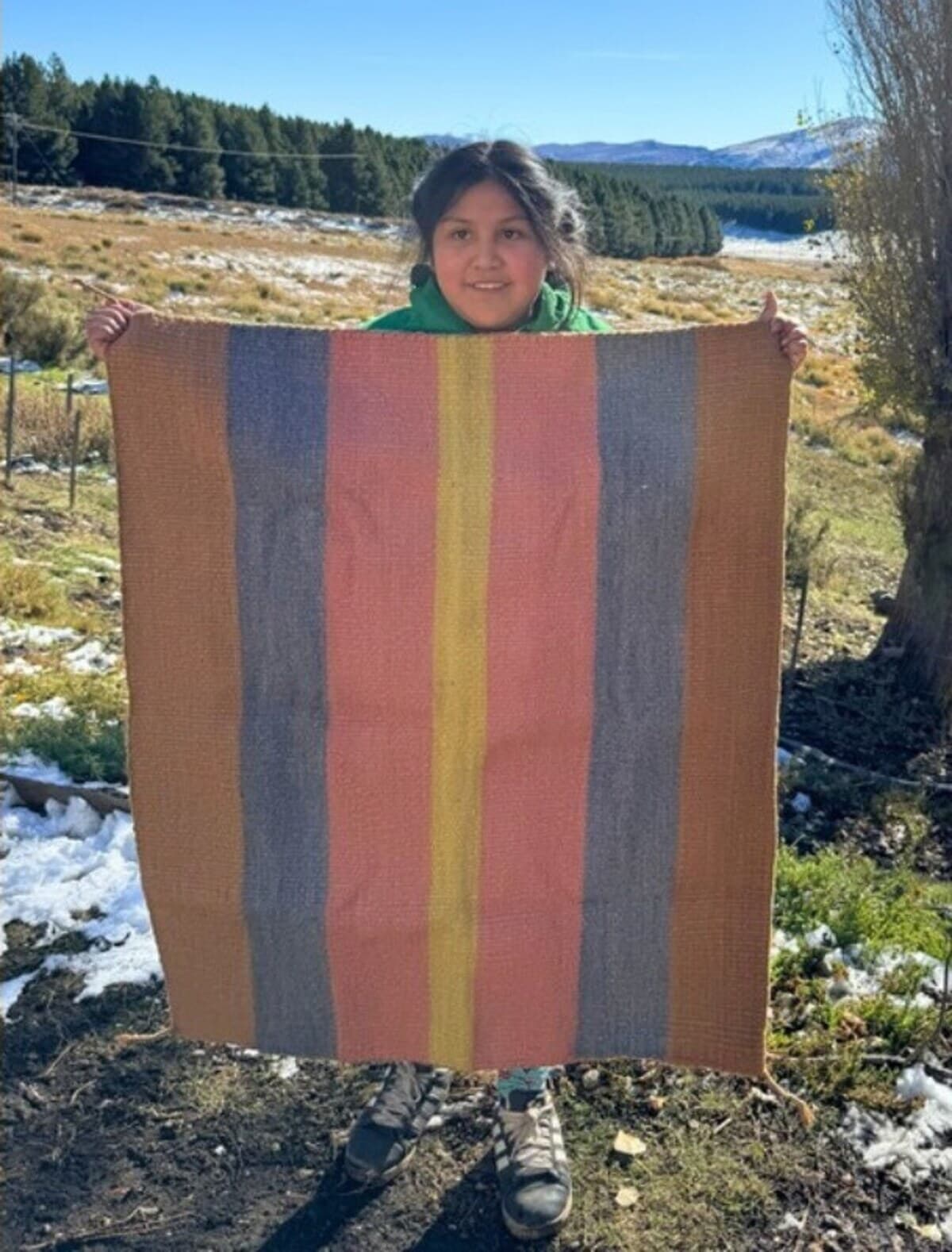 Textures of Patagonia